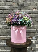 Цветочная композиция из Гипсофила и Розы в шляпной коробке #REPLACE_PRED# Малом Барханчаке