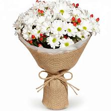 Букет цветов из:  Хризантемы #REPLACE_PRED# Малом Барханчаке
