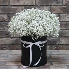 Цветочная композиция из Гипсофила в шляпной коробке #REPLACE_PRED# Малом Барханчаке