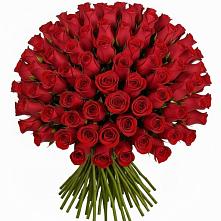 Букет Красные розы Чери Лав в Малом Барханчаке
